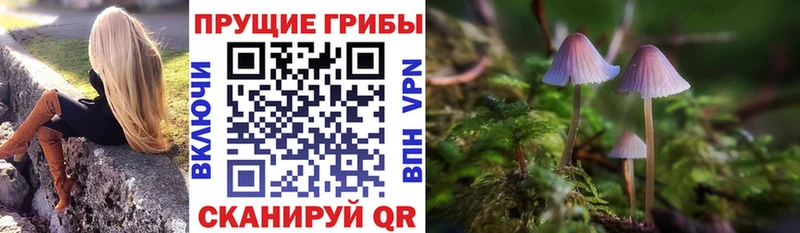 Галлюциногенные грибы Magic Shrooms  Купить закладки  Лосино-Петровский 